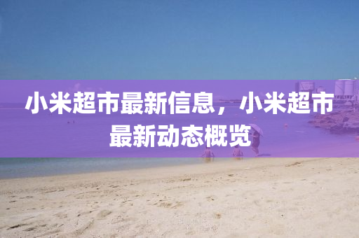 小米超市最新信息，小米超市最新動(dòng)態(tài)概覽金華市寶吉環(huán)境技術(shù)有限公司