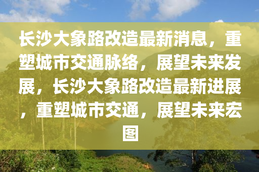 長沙大象路改造最新消息，重塑城市交通脈絡，展望未來發(fā)展，長沙大象路改造最新進展，重塑城市交通，展望未來宏圖